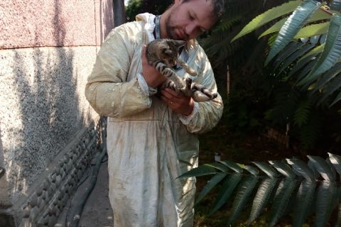 Štít RD - izolace PUR