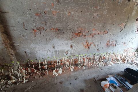 Aplikace injektáží před rekonstrukci RD